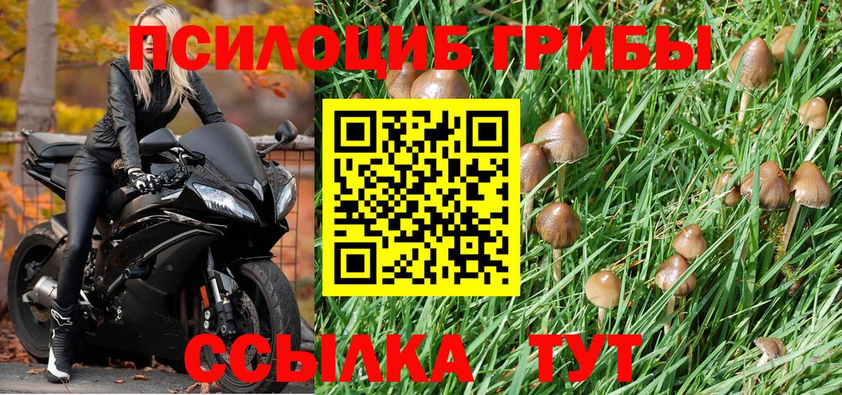 Псилоцибиновые грибы прущие грибы  Вход с VPN  Галлюциногенные грибы Cubensis  магазин продажи   Александров 