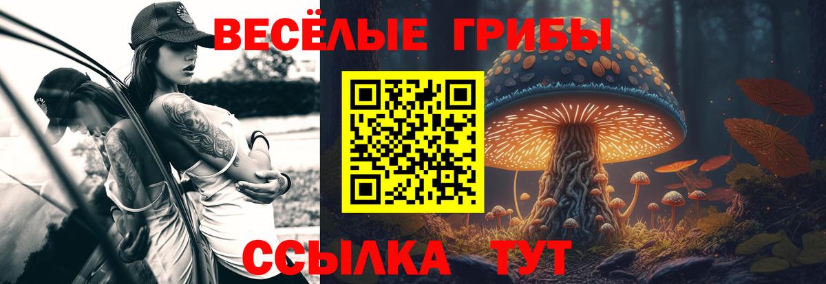 Галлюциногенные грибы мицелий Александров